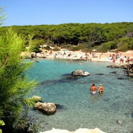 Grazioso - Nardo